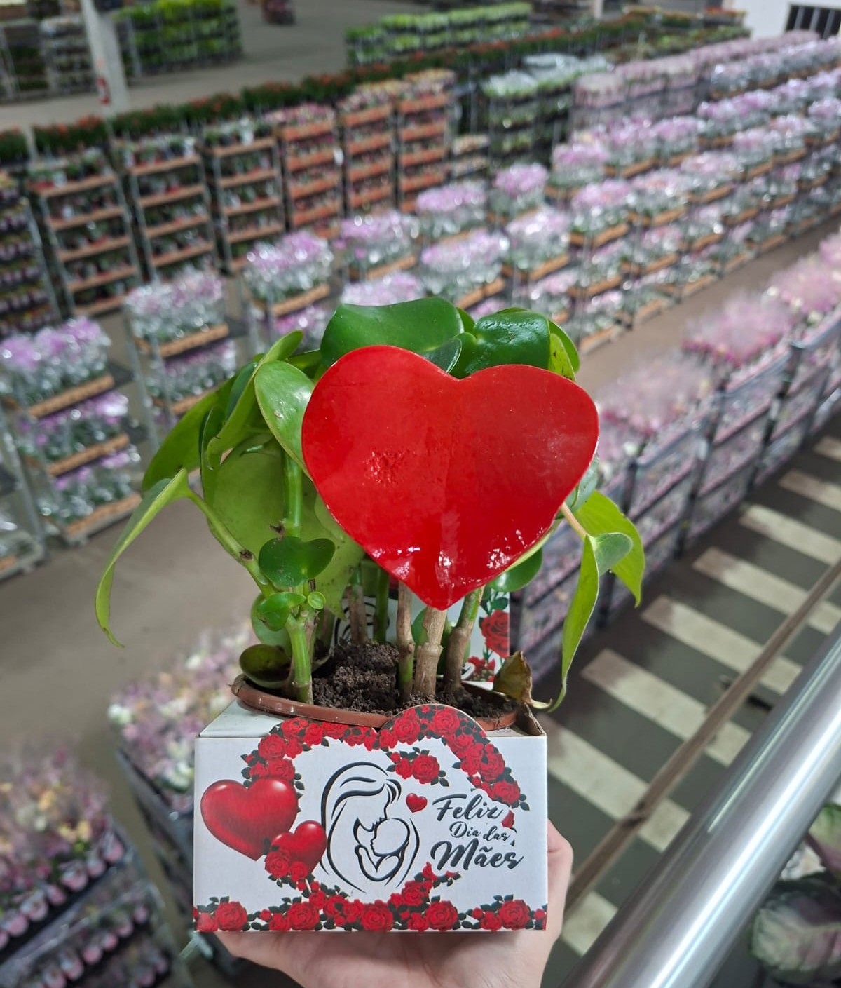 Valor afetivo das flores movimenta18% das vendas anuais para a data