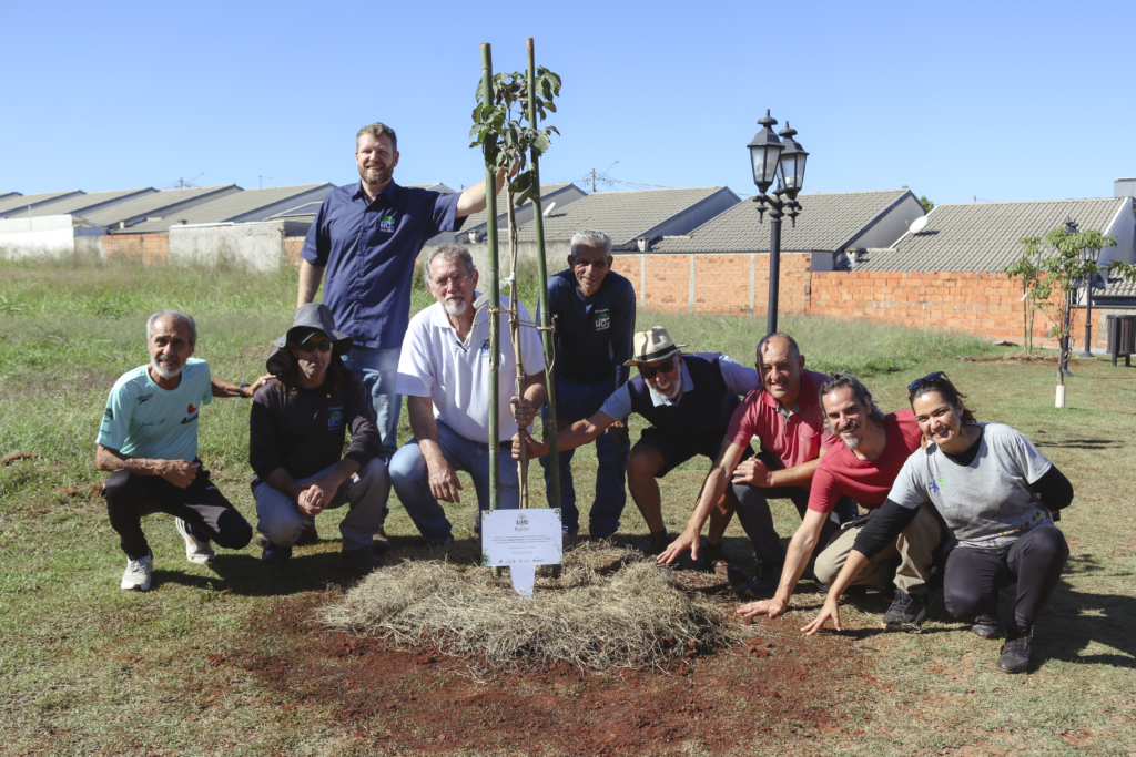 Projeto Raízes Urbanas inicia plantio demais de 700 árvores em Holambra