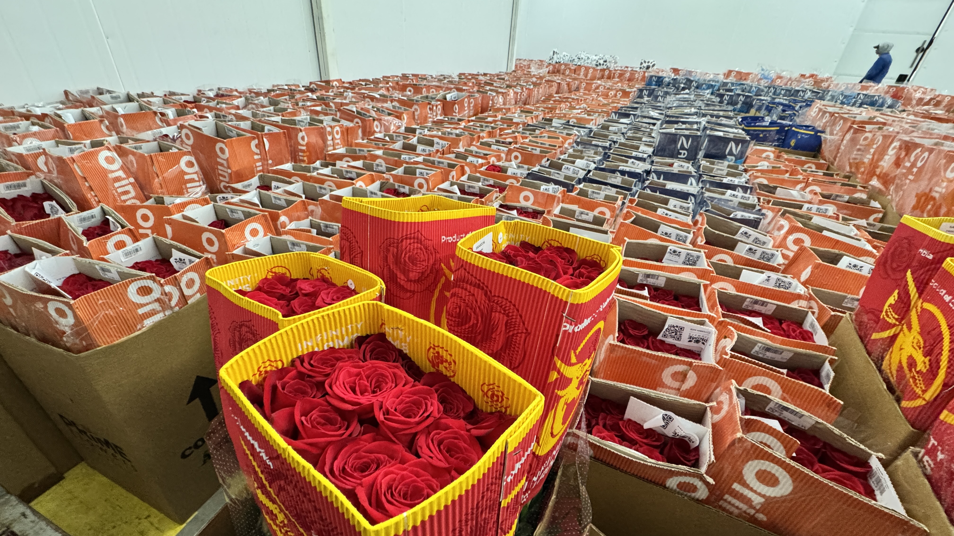 Rosas vermelhas e orquídeas lideram as vendas para presentear no 12 de junho