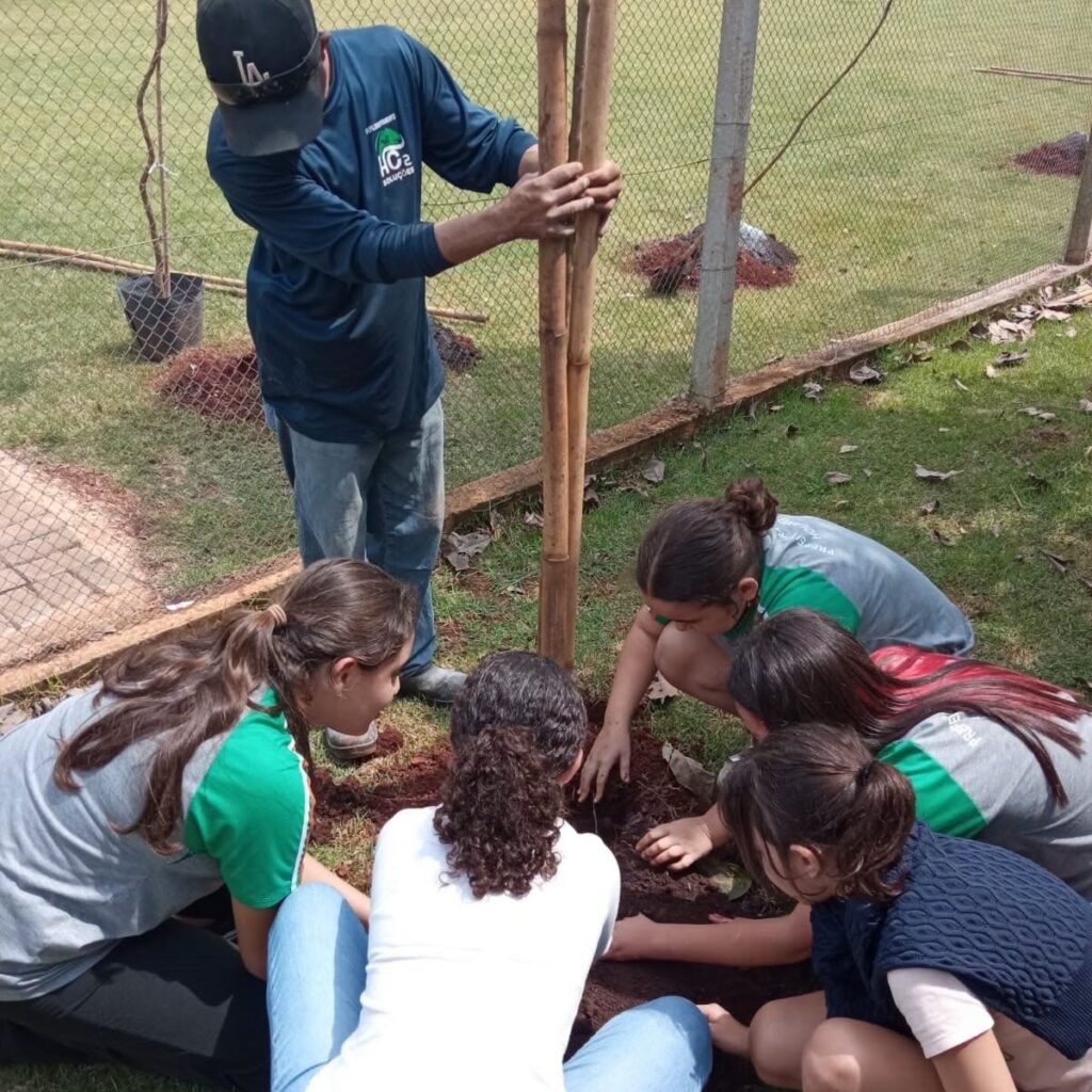 Alunos participam de plantio de árvores em escola